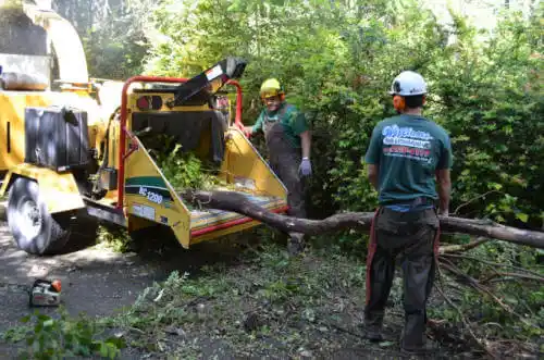 tree services Flowing Wells